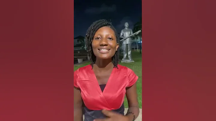The Young Innovation Leaders (YIL) Fellowship Afri...