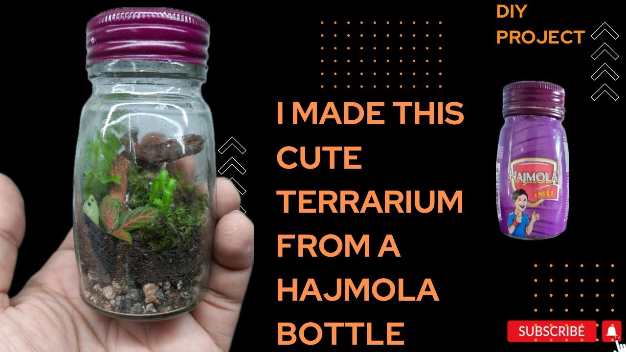 How to make natural miniature terrarium / DIY project / Step by steps ...