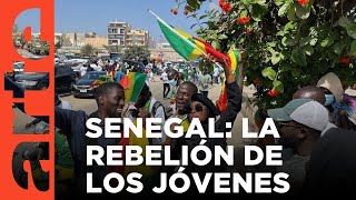 Senegal: crónica de una revuelta | ARTE.tv Documentales