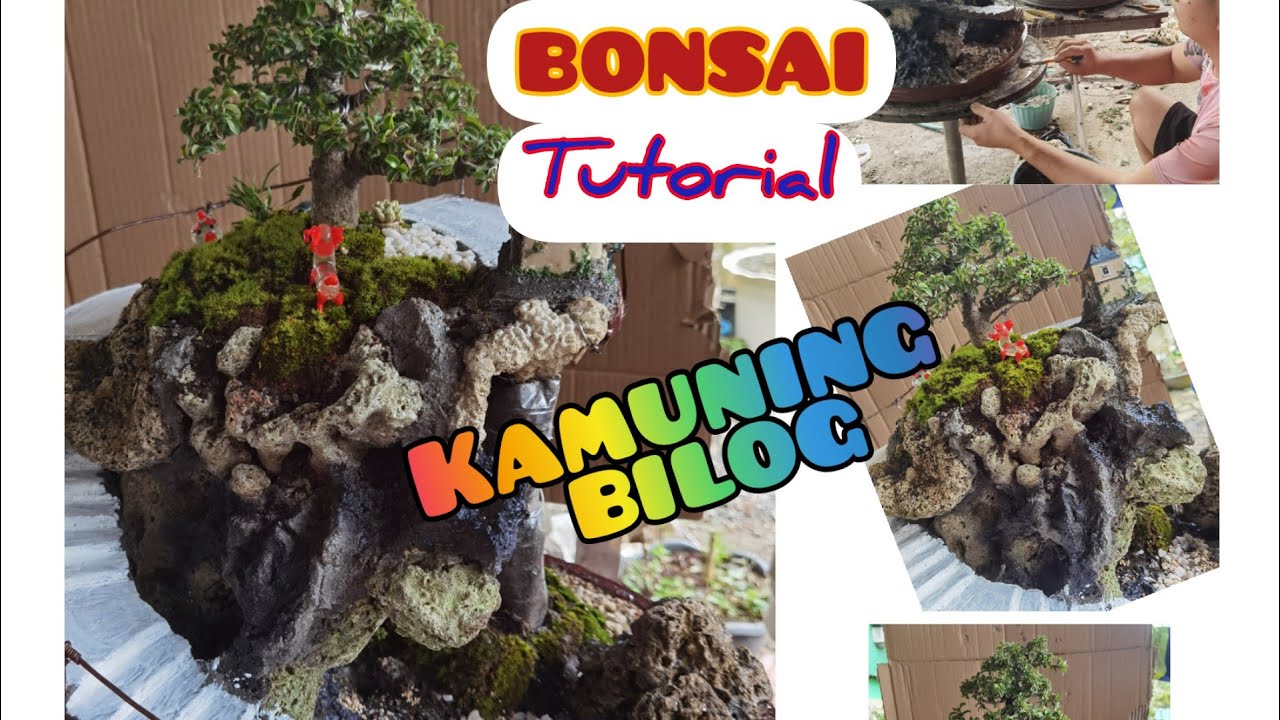 BONSAI TREE (KAMUNING BILOG THE MAKING) - YouTube