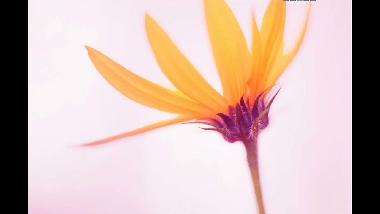 Sub sub folder. Sub sub folder