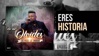 Eres Historia | Luis Miguel del Amargue | Nuevo Álbum No Me Olvides |  Bachata 2018