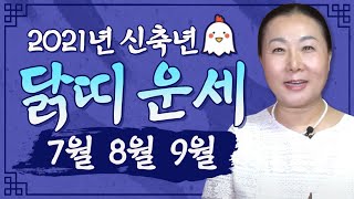 2021년 하반기운세삼재띠닭띠운세(의정부점집 노원점집 유명한점집)나라궁대신나비당
