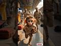 Chhota Sa cute human monkey boy 🐒 logon ki jaan kaise bachaya#aimonky#aimonkyshorts#aimonkyvideo#ai.