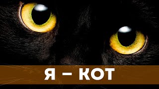 Я — Кот (2023) Драма, Мелодрама, Комедия | Русский Трейлер Фильма