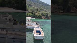 kitries- Kalamata - Greece