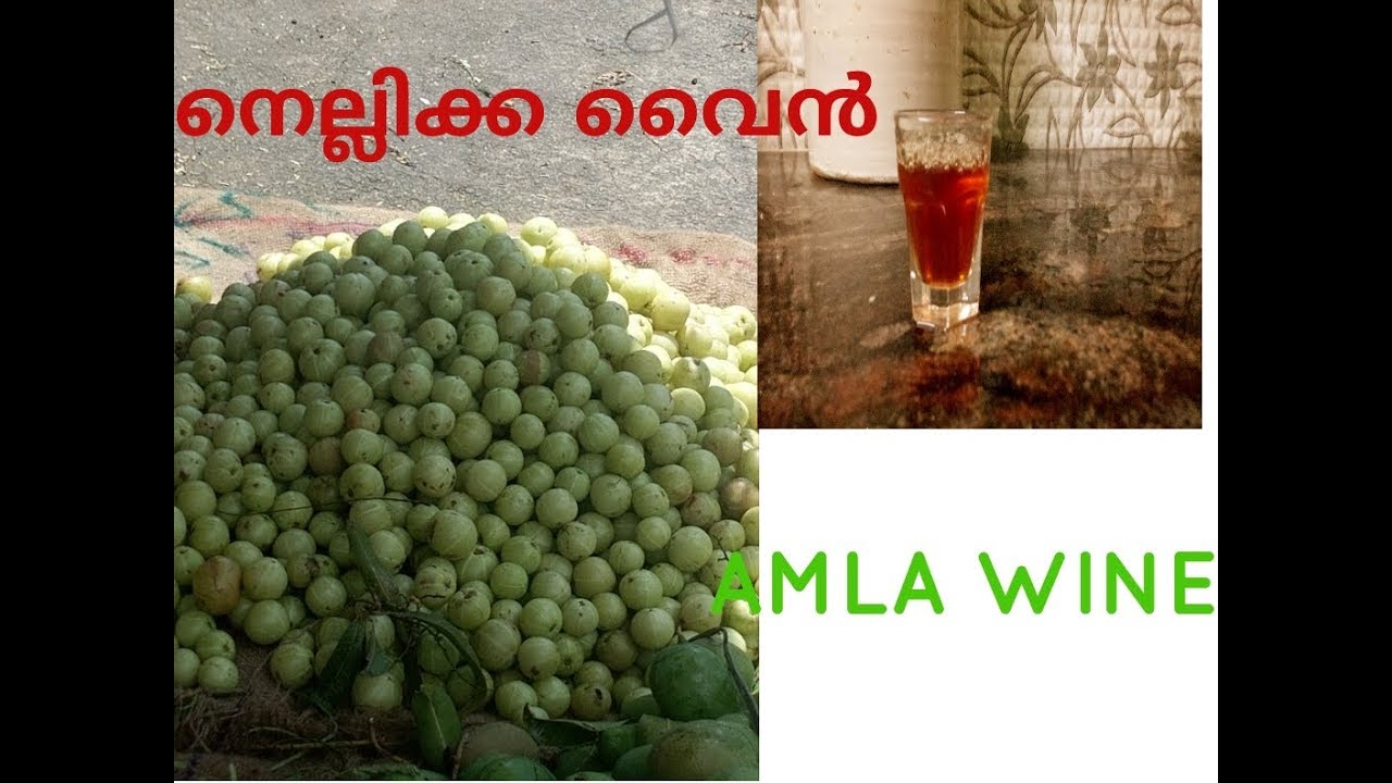 HOMEMADE AMLA(NELLIKKA)WINE, /GOOSEBERRY WINE/നെല്ലിക്ക വൈൻ YouTube