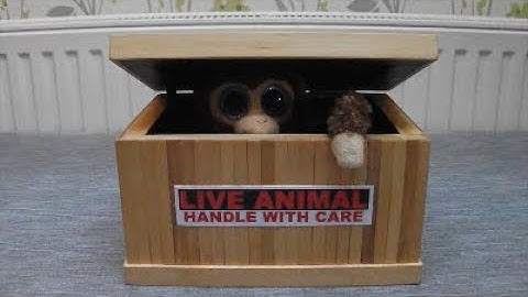 Arduino Useless Box (Cheeky Monkey)