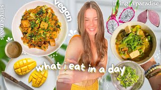VLOG what i eat in a day | I left my home to find balance!  ( simple, vegan recipes )🌿🥢✨ by Julia Ayers 15,290 views 4 months ago 24 minutes