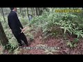 两条白色的眼镜王蛇就藏匿在后山的草堆里面！#动物 #户外 #野生动物零距离 #蛇 Mp3 Song