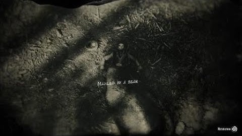 Red Dead Online : Autopilot Fail