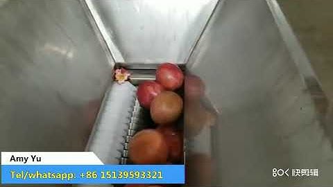 500lg/h passionfruit pulp extractor with seeds
