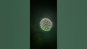 4” coconut shell display shell