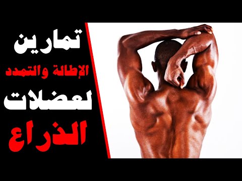 تمارين الإطالة لعضلات الذراع أهم الاسترتشات لتخفيف ألم عضلات الذراع بعد التمرين