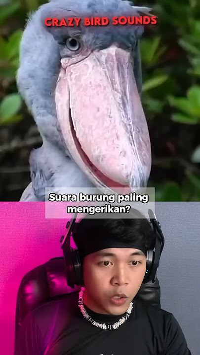 Inilah Suara Burung Unik Yang Paling Mengerikan Di Dunia 😱 #shorts