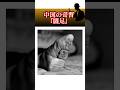 中国の奇習『纏足』 #雑学#ミステリー#風習