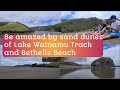 Amazing sand dunes of Lake Wainamu track and Bethells Beach