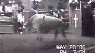 WC200 - Brass Monkey - Video 3