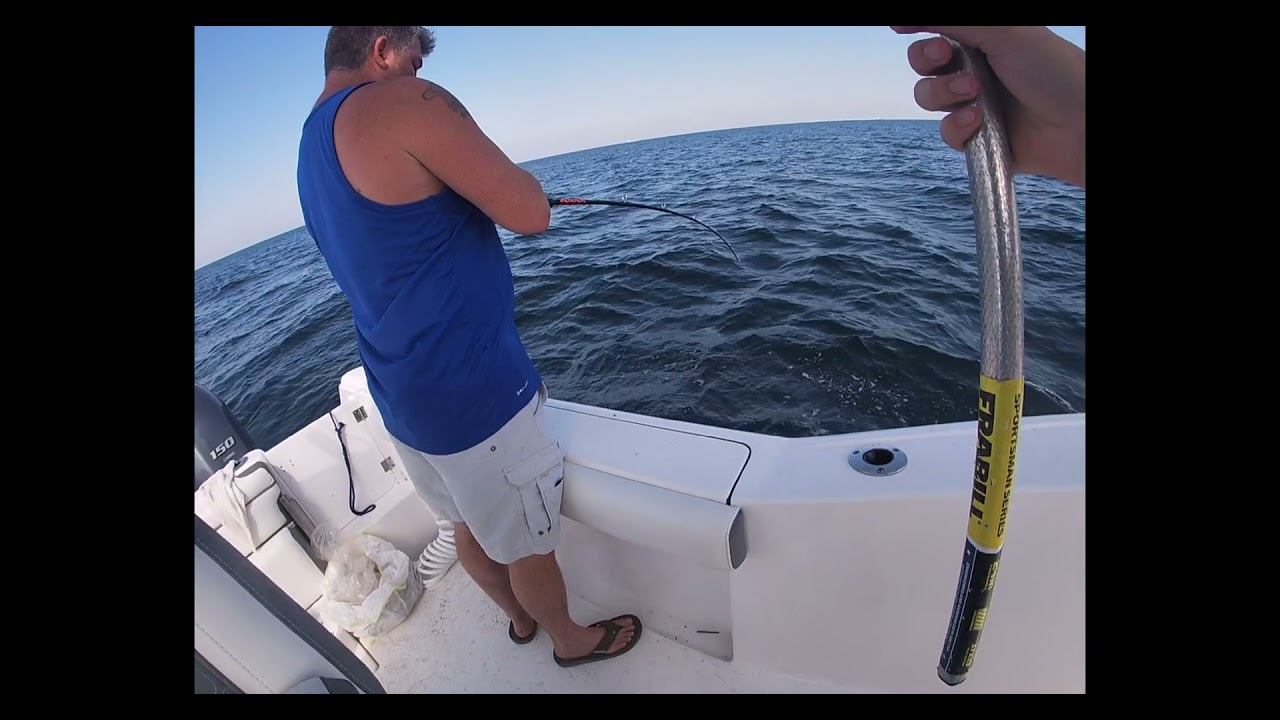 Red Snapper Fishing, With a Surprise COBIA ( Pascagoula Mississippi) 