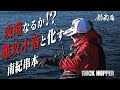 これから、始まる 和歌山串本の寒グレ。