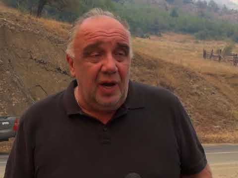 სოფელ დაბიდან ხანძარი ყვიბისის ტყეში გავრცელდა