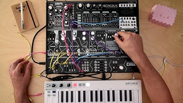 MURMUX FILTER White Line Module DEMO / DREADBOX