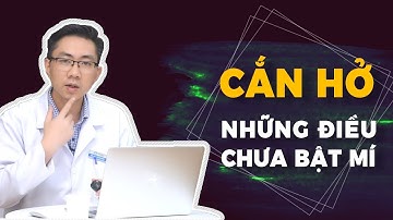 Bạn Biết Gì Về Khớp Cắn Hở? Cách Nhận Diện Và Phòng Tránh Bạn Nên Biết