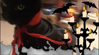 Count Dexterulia And The Scaredy-Cat Inspired By Samo