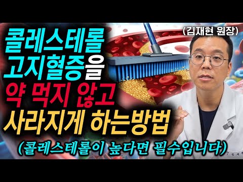 높은 콜레스테롤 고지혈증 약을 먹지 않고 치료하는 방법 '이것'만은 절대 먹지 마세요.  l 김재현 원장 통합본