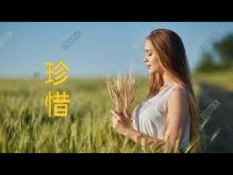 天韵#珍惜