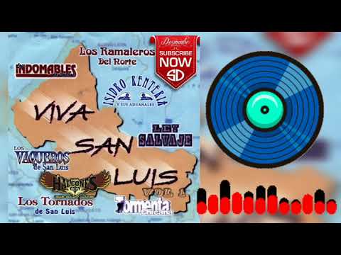 Viva San Luis Vol 1 Mix DesmadreMusic