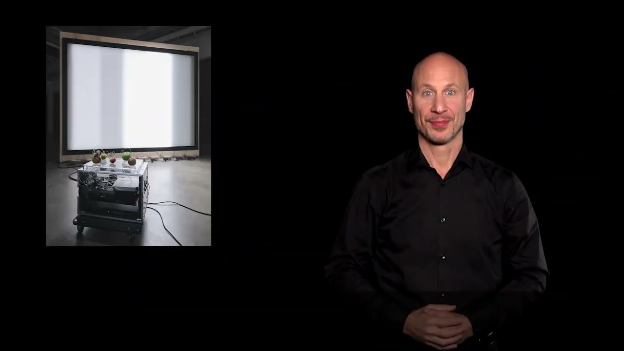 Audio-videoguida LIS | Yuko Mohri | Entanglements | Pirelli HangarBicocca