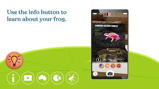 Common Eastern Froglet - Quiver