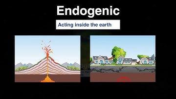 Endogenic and exogenic forces