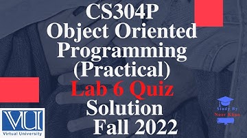 CS304P - Object Oriented Programming (Practical) Lab 6 Quiz | CS304P Lab 6 Quiz solution fall 2022
