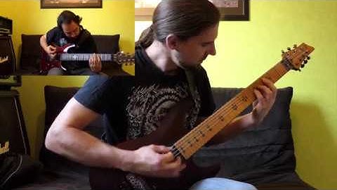 SWARMAGEDDON - "Infinite Landscape" [Guitar video]