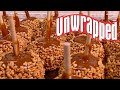 How Caramel Apples Are Made | Unwrapped | Food Network