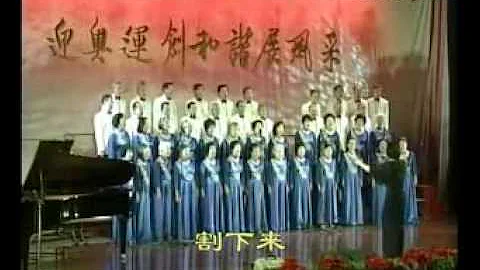 遠方的客人請你留下來-老外交官合唱團 - 天天要聞