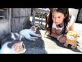 瀬戸内の猫島にお土産を持って行ってみた【地名しりとり44】 #観光
