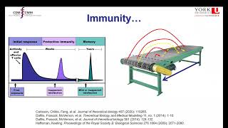 Modelling Immunity