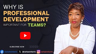 Why Is Professional Development Important for Teams?
