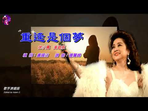 重逄是個夢   徐小鳳〈歌手演唱版〉