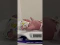 وزن البيبي بعد الولادة مباشرة حديث الولادة ماشاءالله