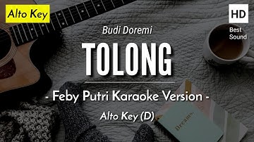 Tolong (Karaoke Akustik) - Budi Doremi (Alto Key | HQ Audio)