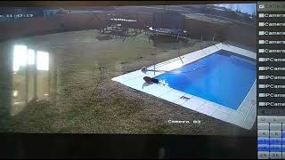 Boy Saves Dog From Drowning in Pool || ViralHog