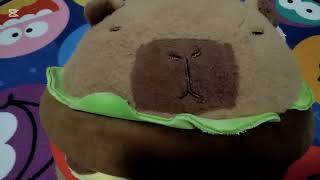 Vicces Videó Nincs Értelme