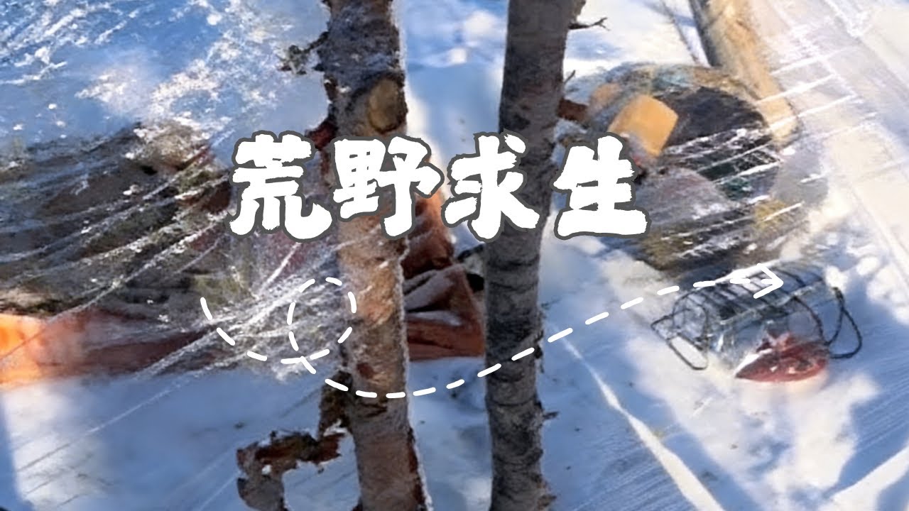 希游记高能上线！流浪户外解锁完美小屋，用火箭炉烤溪流鱼、石板焖红薯，荒野美食 + 冒险之旅太治愈 