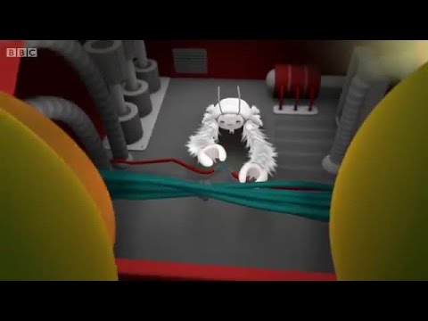 The Octonauts S3E8 The Yeti Crab The Octonauts S3E8 The Yeti Crab