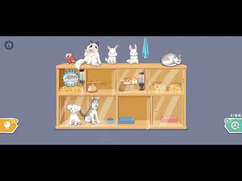Organization Master Game | cat and dog |  Solution/Walkthrough (a little to the left)
