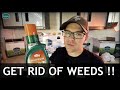 Crabgrass, Clover, Nutsedge?? How To FIX IT!